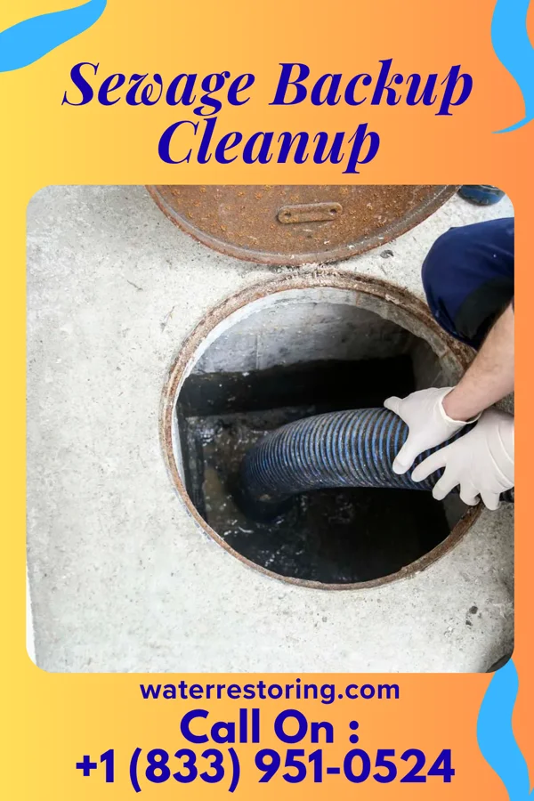 Sewage Backup Cleanup in Lost Nation, IA