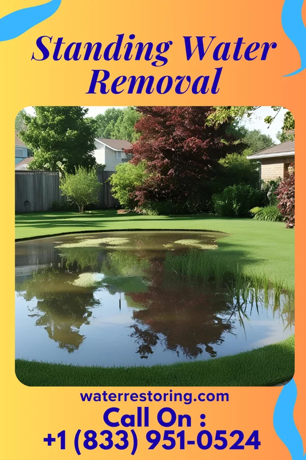 Standing Water Removal in Lost Nation, IA